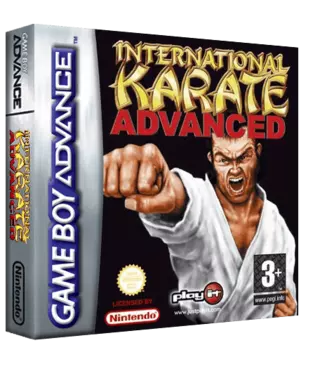 jeu International Karate Advanced